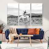 62789800-MGV-CV-36X24-White Horse Wall Art Canvas Print, Framed Woman Rider Art Picture Print, Equestrian Pose Perfect Western Boho Decor Artwork