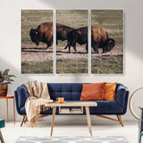 58141885-MGV-CV-36X24-Bison Photography Wall Art Canvas Print, Framed Western Wildlife Art Picture Print, Modern Ranch Perfect Western Rustic Decor