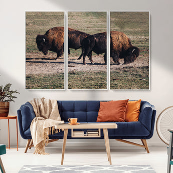 58141885-MGV-CV-36X24-Bison Photography Wall Art Canvas Print, Framed Western Wildlife Art Picture Print, Modern Ranch Perfect Western Rustic Decor