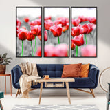 44554-MGV-CV-36X24-Vibrant red tulips stand out beautifully against a black-and-white background, making a striking decor piece perfect for any home