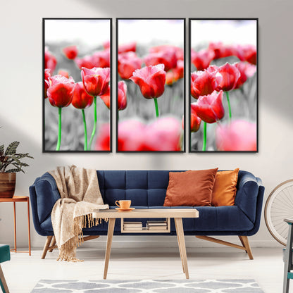 44554-MGV-CV-36X24-Vibrant red tulips stand out beautifully against a black-and-white background, making a striking decor piece perfect for any home
