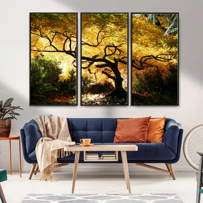 19067-MGV-FC-48X32-3P_Black-Golden Canopy Wall Art – Panoramic Autumn Tree Canvas Print, Warm Seasonal Decor for Living Room, Office or Garden Space