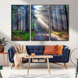 42047-MGV-CV-36X24-Sunlit Forest Path Wall Art – Nature Canvas Print, Serene Woodland Landscape, Perfect Home & Office Decor for Calm and Tranquil