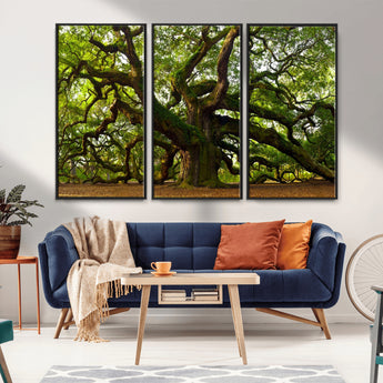 29407-MGV-CV-36X24-Ancient Oak Tree Wall Art – Majestic Nature Canvas Print, Large Tree Photography Decor for Living Room or Office