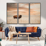 99699-MGV-FC-48X32-3P_Black-Bison in Prairie at Sunset – Wildlife Photography Print, American Buffalo Wall Art, Nature Landscape Canvas Decor for Office