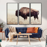 48406-MGV-FC-48X32-3P_Black-American Bison Wall Art – Rustic Buffalo Canvas Print in Prairie Field, Western Wildlife Photography Decor for Cabin, Lodge,