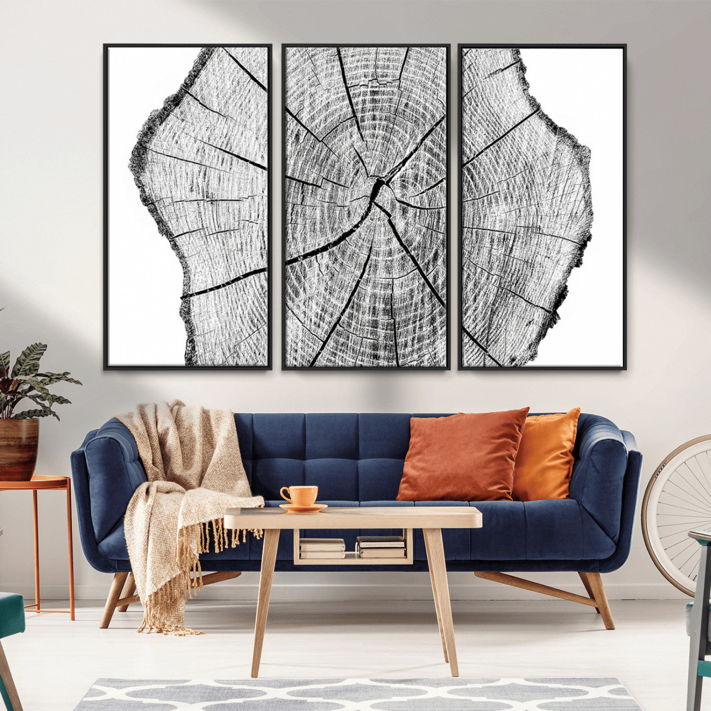98709-MGV-FC-48X32-3P_Black-Tree Ring Wall Art – Black and White Canvas Print Rustic Wood Cross Section, Minimal Nature Inspired Decor for Living Room,
