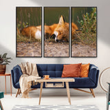 25085-MGV-FC-48X32-3P_Black-Sleeping Fox Wall Art Canvas Print, Framed Rustic Fox Art Picture Print, Wildlife Animal Perfect Rustic Farmhouse Decor Artwork