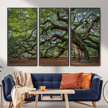 MGV-FC-48X32-3P - Historic Tree Wall Art Canvas Print, Framed Mossy Tree Art Picture Print, Twisted Branches Perfect Nature Southern Decor Artwork