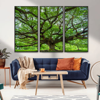 49375306-MGV-CV-36X24-Ancient Tree Wall Art Canvas Print, Framed Sprawling Branches Art Picture Print, Gnarling Tree Perfect Earthy Natural Decor
