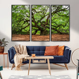 51255351-MGV-CV-36X24-Ancient Tree Wall Art – Majestic Oak Canvas Print, Large Nature Photography, Sacred Forest Landscape Wall Décor, Wisdom Tree