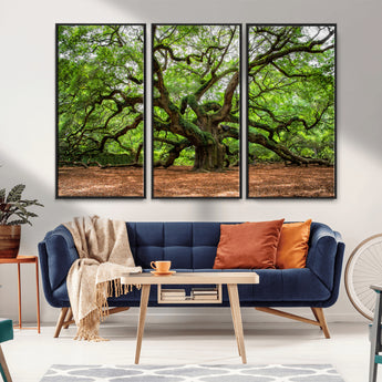 51255351-MGV-CV-36X24-Ancient Tree Wall Art – Majestic Oak Canvas Print, Large Nature Photography, Sacred Forest Landscape Wall Décor, Wisdom Tree
