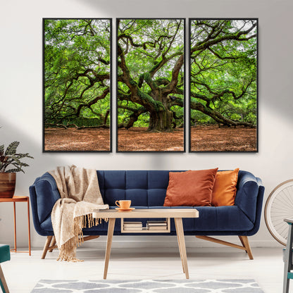 51255351-MGV-CV-36X24-Ancient Tree Wall Art – Majestic Oak Canvas Print, Large Nature Photography, Sacred Forest Landscape Wall Décor, Wisdom Tree