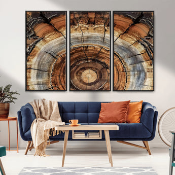 15184146-MGV-CV-36X24-Tree Rings Wall Art Canvas Print, Framed Wood Texture Art Picture Print, Rustic Pattern Perfect Rustic Organic Decor Artwork