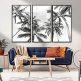 62113786-MGV-FC-48X32-3P_Black-Black White Palm Wall Art Canvas Print, Framed Monochrome Tropics Art Picture Print, Minimalist Beach Perfect Coastal Minimalist