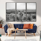 24051061-MGV-FC-48X32-3P_Black-Monochrome Highland Cow Wall Art Canvas Print, Framed Scottish Bull Art Picture Print, Lone Cattle Perfect Rustic Farmhouse Decor