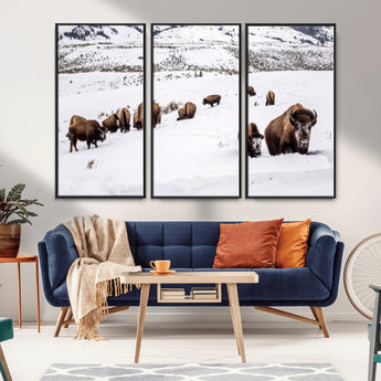 13891210-MGV-CV-36X24-Bison Herd Scene Wall Art Canvas Print, Framed Western Wildlife Decor Art Picture Print, Snowy Mountain Valley Perfect Rustic