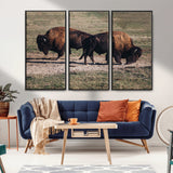 58141885-MGV-CV-36X24-Bison Photography Wall Art Canvas Print, Framed Western Wildlife Art Picture Print, Modern Ranch Perfect Western Rustic Decor