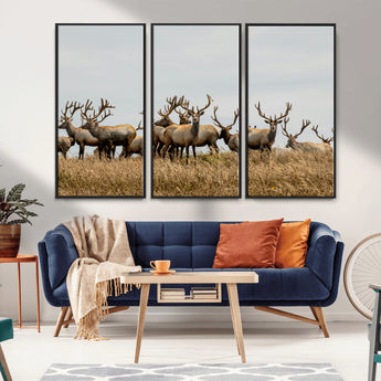 42170220-MGV-CV-36X24-Elk Herd Wall Art Canvas Print, Framed Wildlife Photography Art Picture Print, Majestic Antlers Perfect Rustic Wildlife Decor