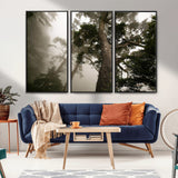 87969493-MGV-CV-36X24-Forest Wall Art – Misty Tall Trees Canvas Print, Dramatic Woodland Photography Decor for Bedroom, Living Room, Office, Cabin,