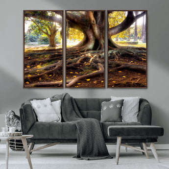 53335-MGV-CV-36X24-Majestic Tree with Sprawling Roots Wall Art – Serene Sunlit Park Scene, Nature Canvas Print, Perfect for Living Room, Office or