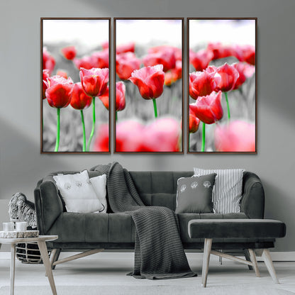 44554-MGV-CV-36X24-Vibrant red tulips stand out beautifully against a black-and-white background, making a striking decor piece perfect for any home