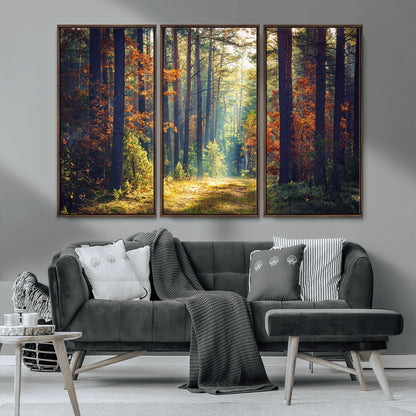 86249-MGV-FC-48X32-3P_Walnut-Sunlit Autumn Forest Path Wall Art – Peaceful Nature Scene with Fall Foliage, Calming Woods Decor for Home or Office