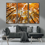 11823-MGV-CV-36X24-Golden Autumn Tree Canopy Wall Art – Stunning Fall Forest Leaves Print, Warm Seasonal Nature Decor for Home, Office or Cabin