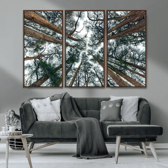 18790-MGV-CV-36X24-Pine Canopy Wall Art – Panoramic View of Towering Pines Canvas Print, Nature-Inspired Decor for Office, Cabin or Living Room
