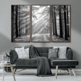 39665-MGV-FC-48X32-3P_Walnut-Black and White Forest Path Wall Art – Sunlight Rays in Trees Canvas Print, Nature Landscape Decor for Living Room or Office