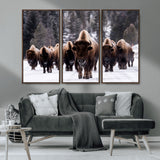 66871-MGV-CV-36X24-Bison Herd Wall Art – Wildlife Buffalo Canvas Print, Rustic Western Nature Photography Decor for Living Room, Office, Cabin, or
