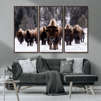 66871-MGV-CV-36X24-Bison Herd Wall Art – Wildlife Buffalo Canvas Print, Rustic Western Nature Photography Decor for Living Room, Office, Cabin, or