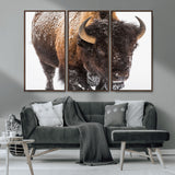 65605-MGV-CV-36X24-Snow Bison Wall Art – Close Up Buffalo Canvas Print, Rustic Western Wildlife Photography, Farmhouse Cabin Lodge Decor for Living