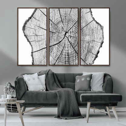 98709-MGV-CV-36X24-Tree Ring Wall Art – Black and White Canvas Print Rustic Wood Cross Section, Minimal Nature Inspired Decor for Living Room,