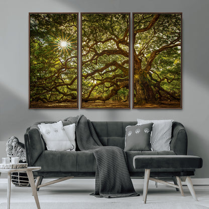 57983-MGV-CV-36X24-Angel Oak Tree Wall Art Canvas Print, Framed Oak Tree Art Picture Print, Angel Oak Perfect Rustic Nature Decor Artwork