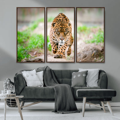 75066-MGV-CV-36X24-Leopard Wall Art Canvas Print, Framed Wild Animal Art Picture Print, Blue Eye Leopard Perfect Wild Minimal Decor Artwork