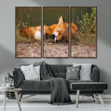 25085-MGV-CV-36X24-Sleeping Fox Wall Art Canvas Print, Framed Rustic Fox Art Picture Print, Wildlife Animal Perfect Rustic Farmhouse Decor Artwork