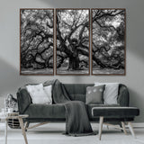 132944706-MGV-CV-36X24-Ancient Tree Wall Art – Black and White Photography Canvas Print Featuring Majestic Twisting Branches, Rustic Nature Artwork for