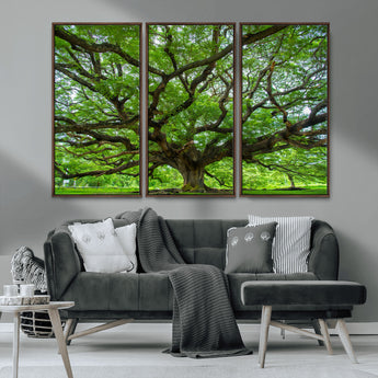 49375306-MGV-CV-36X24-Ancient Tree Wall Art Canvas Print, Framed Sprawling Branches Art Picture Print, Gnarling Tree Perfect Earthy Natural Decor