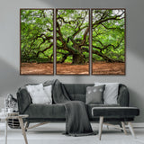 51255351-MGV-CV-36X24-Ancient Tree Wall Art – Majestic Oak Canvas Print, Large Nature Photography, Sacred Forest Landscape Wall Décor, Wisdom Tree