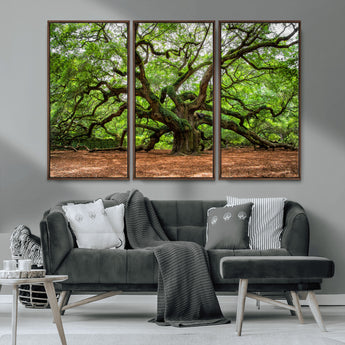 51255351-MGV-CV-36X24-Ancient Tree Wall Art – Majestic Oak Canvas Print, Large Nature Photography, Sacred Forest Landscape Wall Décor, Wisdom Tree