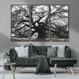 81655611-MGV-CV-36X24-Ancient Oak Wall Art Canvas Print, Framed Twisted Branches Art Picture Print, Gnarled Tree Perfect Moody Nature Decor Artwork