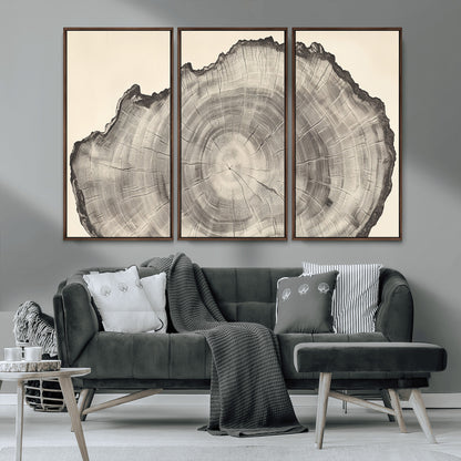 98921313-MGV-CV-36X24-Tree Ring Wall Art Canvas Print, Framed Wood Slice Art Picture Print, Minimalist Wood Perfect Rustic Academic Decor Artwork