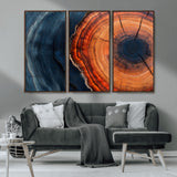 57732250-MGV-CV-36X24-Tree Ring Abstract Wall Art – Blue Orange Wood Grain Canvas Print, Modern Rustic Nature Artwork for Living Room, Office,