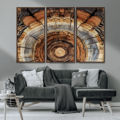 15184146-MGV-CV-36X24-Tree Rings Wall Art Canvas Print, Framed Wood Texture Art Picture Print, Rustic Pattern Perfect Rustic Organic Decor Artwork