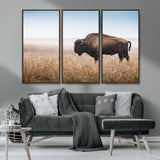 91267849-MGV-CV-36X24-Wild Bison Wall Art Canvas Print, Framed Bison in Prairie Art Picture Print, Rustic Western Perfect Rustic Western Decor Artwork