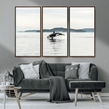 10157174-MGV-CV-36X24-Orca Whale Wall Art Canvas Print, Framed Black White Whale Art Picture Print, Minimalist Ocean Perfect Coastal Minimalist Decor