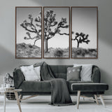 50975475-MGV-CV-36X24-Joshua Tree Art Wall Art Canvas Print, Framed Desert Tree Print Art Picture Print, Black White Nature Perfect Southwestern Boho