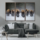 41669135-MGV-CV-36X24-Bison Herd Scene Wall Art Canvas Print, Framed Rustic Wildlife Decor Art Picture Print, Snowy Bison Landscape Perfect Rustic