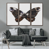 99831147-MGV-CV-36X24-Spotted Butterfly Wall Art Canvas Print, Framed Neutral Insect Theme Art Picture Print, Earthy Wing Pattern Perfect Modern Rustic